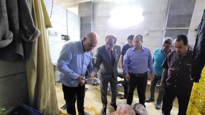 ضبط 10 أطنان لحوم فاسدة داخل ثلاجة غير مرخصة بشبرا الخيمة قبل عيد الأضحى