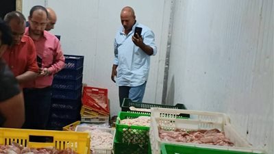 تموين القليوبية يضبط 2 طن أغذية فاسدة داخل ثلاجة غير مرخصة بشبرا الخيمة قبل عيد الأضحى