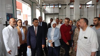 محافظ القليوبية يتفقد مجزر كفر سعد ببنها في أول أيام العيد ويشدد على الالتزام بالاشتراطات الصحية