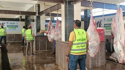 الأورمان والتضامن يواصلان ملحمة الخير بأسوان.. واللحوم تصل للمستحقين بالمجان
