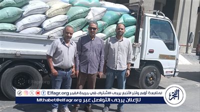 محافظ أسيوط: معدلات توريد القمح المحلي تواصل الارتفاع وتسجل 216 ألف طن منذ بدء الموسم
