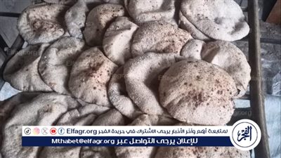 محافظ أسيوط: تحرير 250 محضرًا تموينيًا بمراكز وأحياء المحافظة وضبط مبيدات مغشوشة ومجهولة المصدر بصدفا