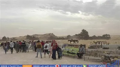 بالصور.. انتهاكات بـ